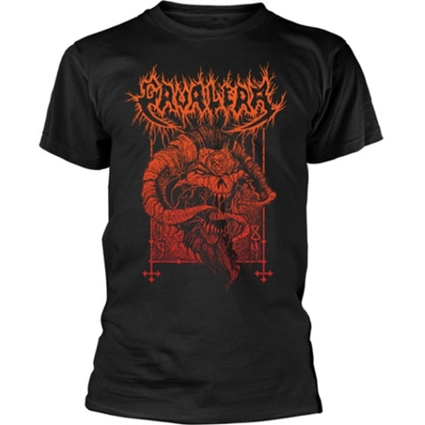 Cavalera | 1984 TS