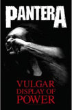 Pantera | Vulgar Display of Power Flag