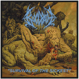 Bloodbath | Survival Of The Sickest