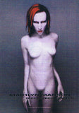 Marilyn Manson | Mechanical Animals Flag