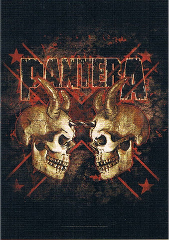 Pantera | Double Skull Flag